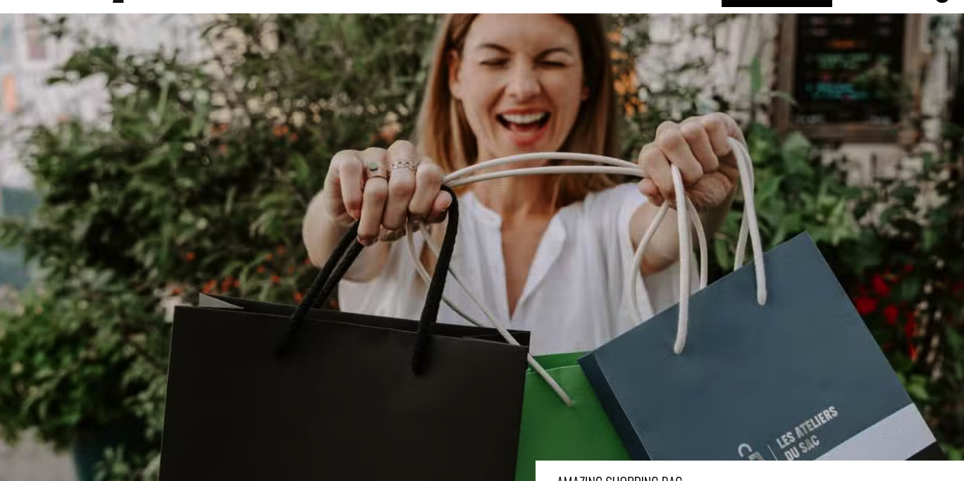 Aperçu Les Ateliers du Sac